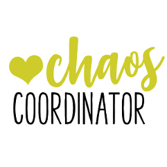 Coordinator/Planner